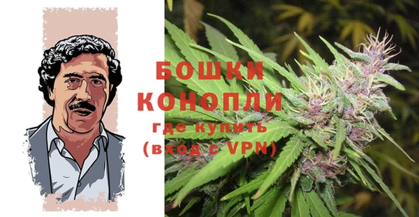 прущий лед Богородицк