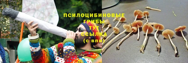 стафф Белокуриха